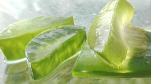 Close-up of fresh aloe vera gel slices.