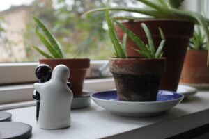 Aloe vera plants in clay pots on a white bench alongside white porcelain figurines.