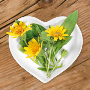 This image features a small white heart-shaped dish containing freshly picked Arnica flowers and leaves. The flowers are bright yellow with numerous petals surrounding a central disc, and the green leaves complement the vibrant blossoms. The dish is placed on a wooden surface, adding a rustic and natural touch to the presentation.