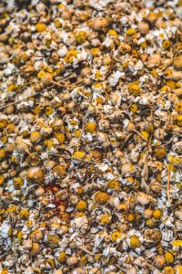 A close-up of dried chamomile flowers with a mix of petals and buds.