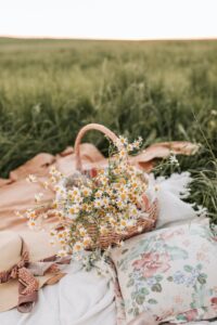 A basket filled with camomile flowers on a picnic blanket in a grassy field.