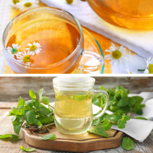 A split image with camomile tea in a clear glass cup on the top, decorated with camomile flowers, and lemon balm tea in a mason jar on the bottom surrounded by fresh lemon balm leaves.