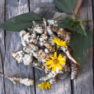 A pile of Jerusalem artichokes with yellow flowers and green leaves on a wooden surface.