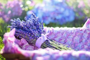 A bundle of freshly harvested lavender stems tied with a light purple ribbon, resting on a pink quilted fabric.