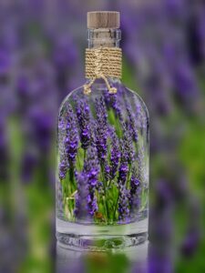 A clear glass bottle with fresh lavender stems inside, corked and tied with a rope, against a blurred lavender field background.