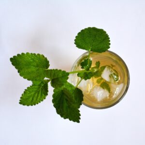 Top view of a glass of iced lemon balm tea with ice cubes and sprigs of lemon balm.