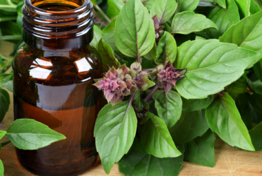 A brown glass bottle of basil essential oil surrounded by fresh basil leaves with purple flowers on a wooden surface.