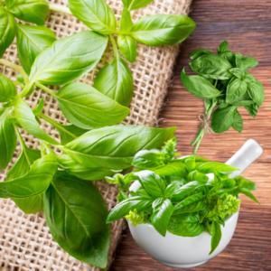  Fresh basil leaves on a burlap mat, a small bundle of basil, and a mortar filled with basil leaves on a wooden surface.