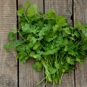 "Fresh cilantro bunch on a rustic wooden surface."