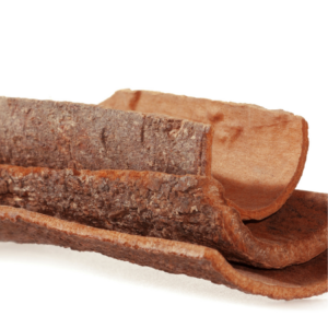 Close-up of cinnamon bark pieces on a white background, showing their rough outer texture and smooth inner surface.