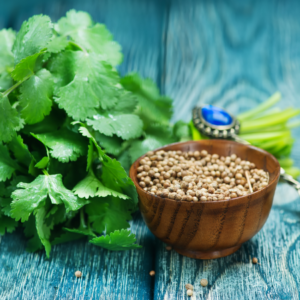 : A wooden bowl filled with coriander seeds next to a fresh bunch of coriander leaves on a blue rustic wooden surface.