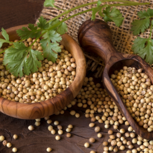  A rustic arrangement of coriander seeds displayed in a wooden bowl and scoop, with fresh coriander leaves on a burlap background.