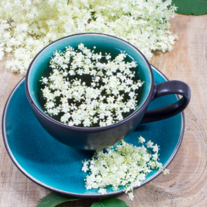 "Blue cup filled with elderflower tea, garnished with fresh elderflowers, placed on a matching blue saucer with elderflowers around."