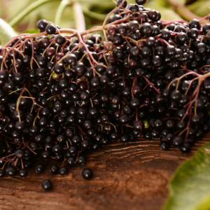 Article: Immune Boosting Elderberry Tea Benefits. Pic - "Close-up of a large cluster of ripe black elderberries on a wooden surface with leaves in the background."