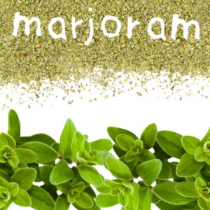  Fresh marjoram leaves with dried marjoram powder spelling out the word "marjoram" on a white background.