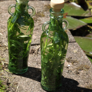 Two glass bottles filled with tarragon infusing in liquid, placed on a stone surface in a sunny outdoor setting.