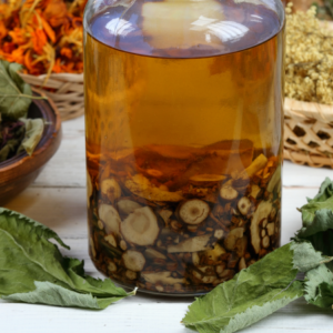 "Close-up of a glass jar containing Angelica root tincture with dried herbs in the background."