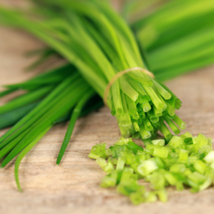  A close-up view of a bunch of fresh green chives tied together with a small pile of chopped chives on a wooden surface.