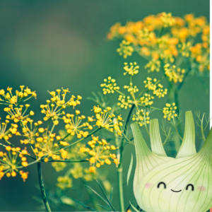 Article: fennel uses and benefits. Pic - The image depicts a bunch of fennel flowers with their characteristic yellow umbels. The background is a lush green, providing a nice contrast to the vibrant yellow flowers. In the foreground, there's an adorable illustration of a fennel bulb with a happy face, adding a whimsical touch to the natural setting. The overall feel of the image is cheerful and fresh, combining elements of nature and playful design.