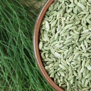  A bowl filled with fennel seeds placed on a bed of green fennel fronds.