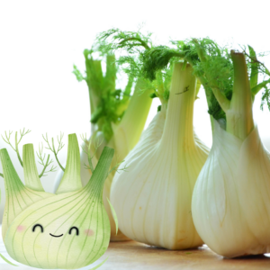 Article: fennel uses and benefits. Pic - Fresh fennel bulbs with green fronds, accompanied by a smiling illustrated fennel bulb.