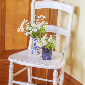 Two vases of blooming feverfew flowers placed on a rustic white wooden chair against a wooden background.