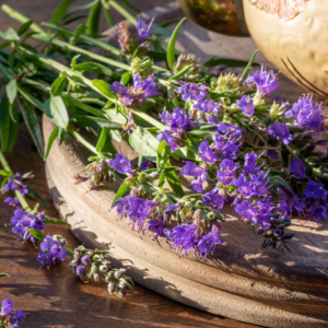 Freshly harvested hyssop flowers with vibrant purple blooms, arranged on a rustic wooden cutting board.