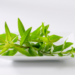 Fresh lemon verbena leaves arranged on a white rectangular plate against a plain white background.