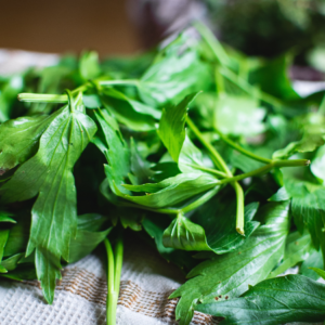 Close-up of freshly picked lovage leaves on a cloth surface, ready for use.