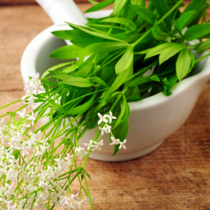 Fresh woodruff leaves and white flowers in a white mortar on a wooden table.